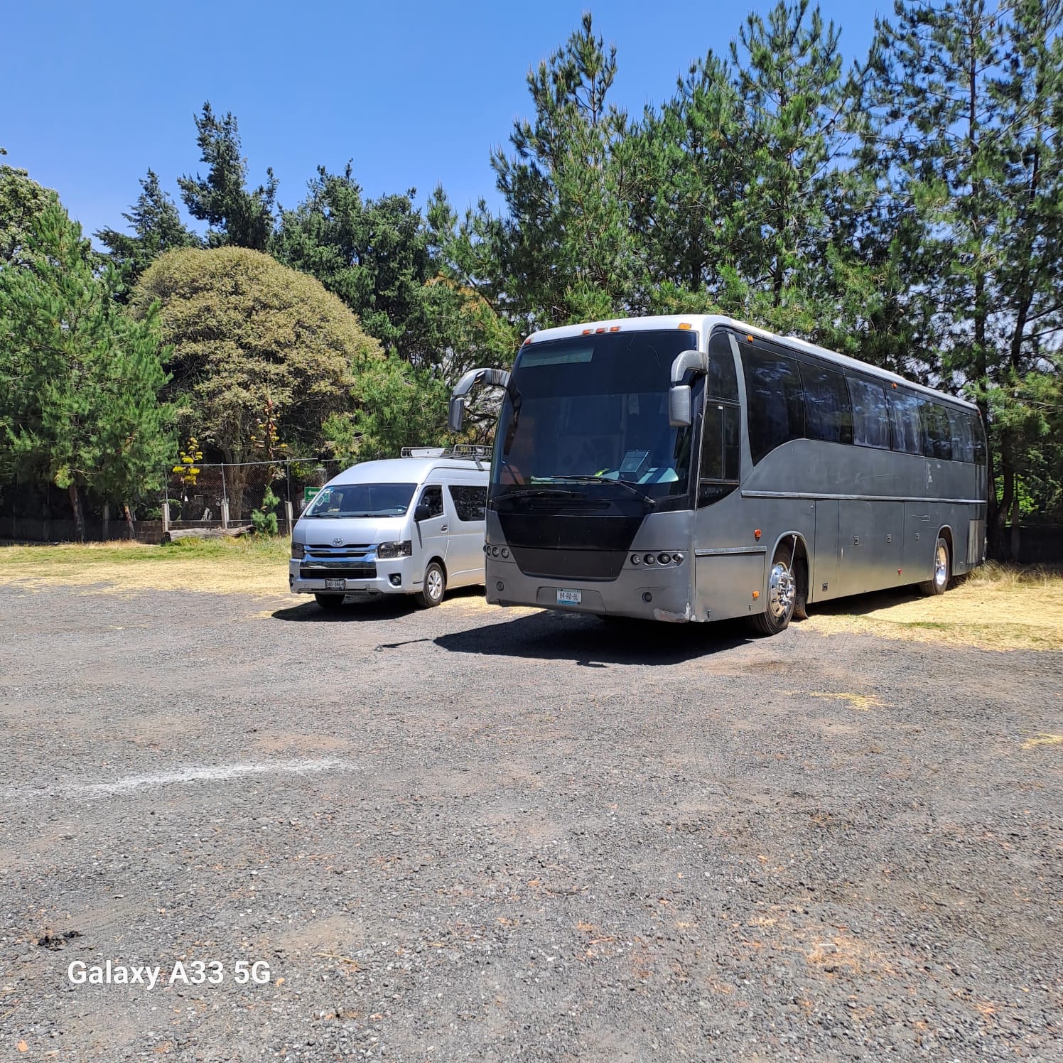 Autobús de Servicios y excursiones el Padrino